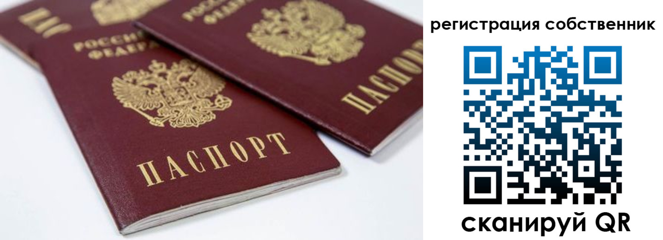 прописка для школы в Сосновом Бору